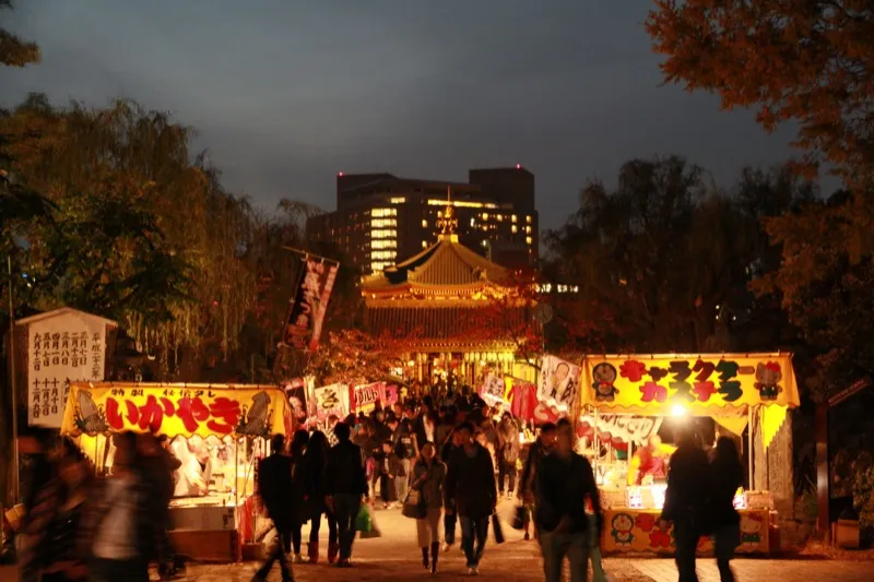 Cultural In-Jokes Collection